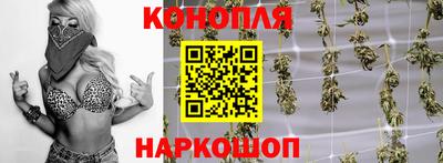 индика Малгобек