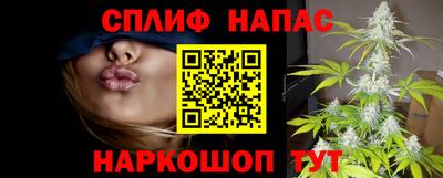 индика Малгобек