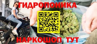 индика Малгобек