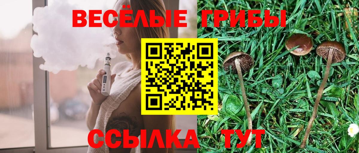 Псилоцибиновые грибы мицелий Шарыпово